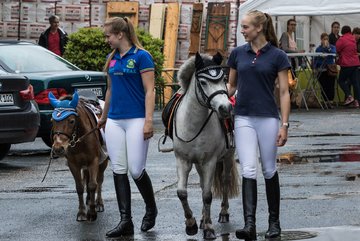 Bild 45 - Reitsport Scheune 30 am 25.6.16